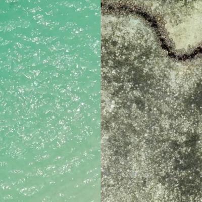 Man lying on back floating in clear aqua water next to a topographic shot of the reef in the Torres Strait